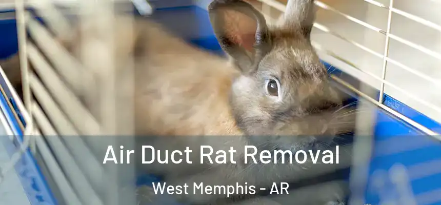  Air Duct Rat Removal West Memphis - AR