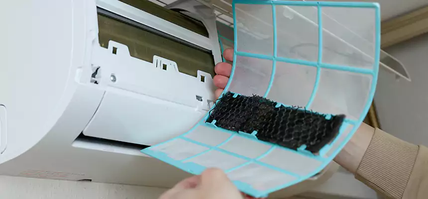 Gentle Ductwork Odor-Control Pet Dander Duct Cleaning in West Memphis, AR