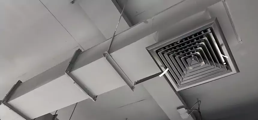 Our Rodent Droppings In Vents Services in West Memphis, AR