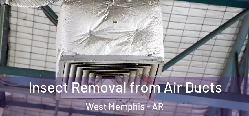 Insect Removal from Air Ducts West Memphis - AR
