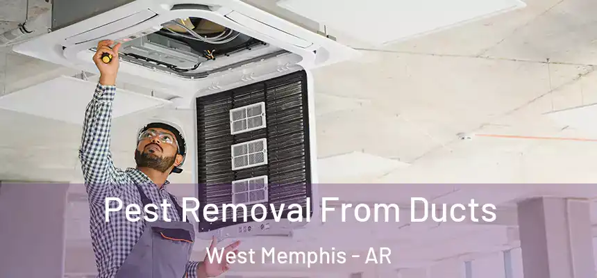  Pest Removal From Ducts West Memphis - AR