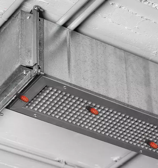 Affordable Insect Removal from Air Ducts in West Memphis, AR