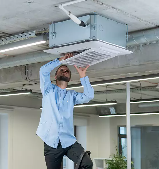 Advanced Rodent Droppings In Vents in West Memphis, AR