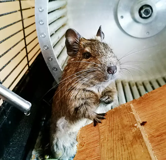 Why Homeowners & Businesses Trust Us West Memphis, AR?